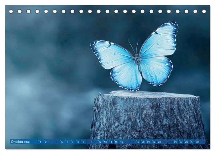 Produktbild: Blauer Zauberflug (Tischkalender 2026 DIN A5 quer), CALVENDO Monatskalender