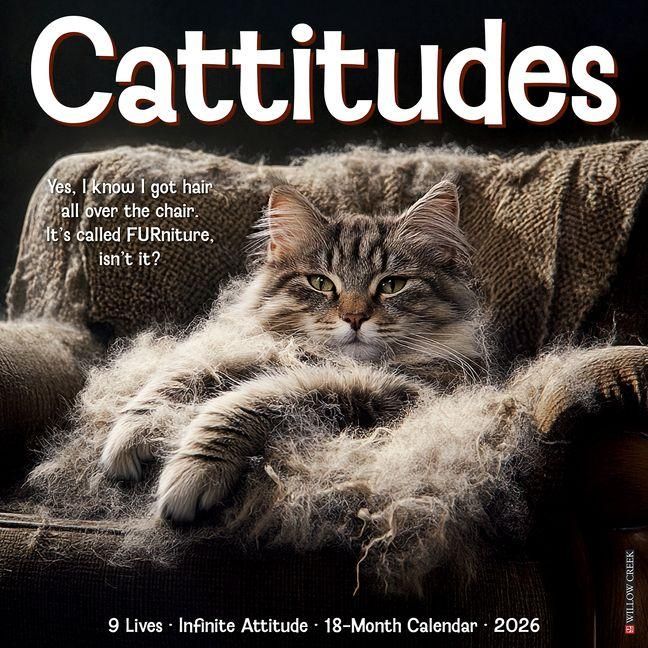 Produktbild: Cattitudes 2026 Wall Calendar