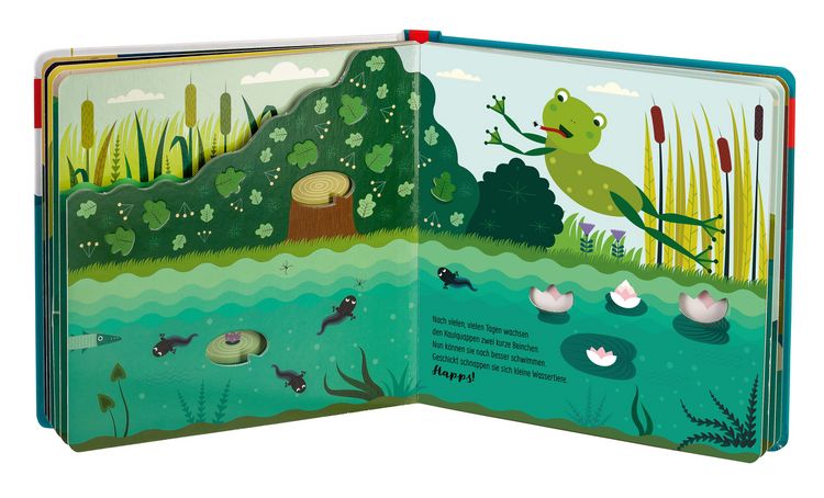 Produktbild: Edition Piepmatz: Wie kleine Tiere gro&szlig; werden: Der kleine Frosch