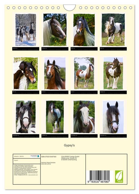 Produktbild: Gypsy's (Wandkalender 2026 DIN A4 hoch), CALVENDO Monatskalender
