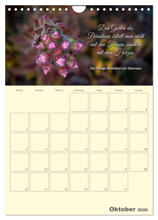 Produktbild: Gartenliebe (Wandkalender 2026 DIN A4 hoch), CALVENDO Monatskalender