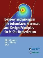 Produktbild: Delivery and Mixing in the Subsurface