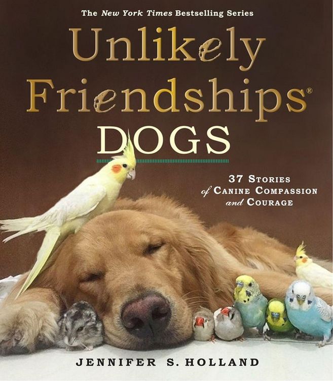 Produktbild: Unlikely Friendships: Dogs