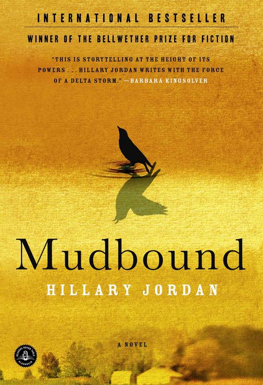 Produktbild: Mudbound