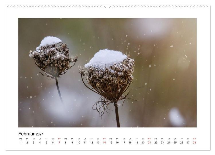 Produktbild: Zauber verg&auml;nglicher Bl&uuml;ten (hochwertiger Premium Wandkalender 2027 DIN A2 quer), Kunstdruck in Hochglanz
