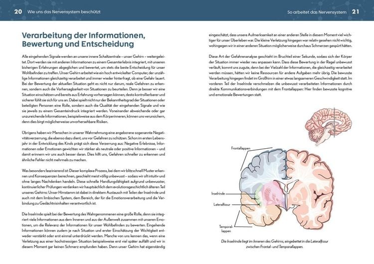 Produktbild: Neurozentriertes Yoga