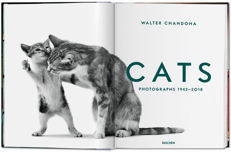Produktbild: Walter Chandoha. Cats. Photographs 1942&ndash;2018