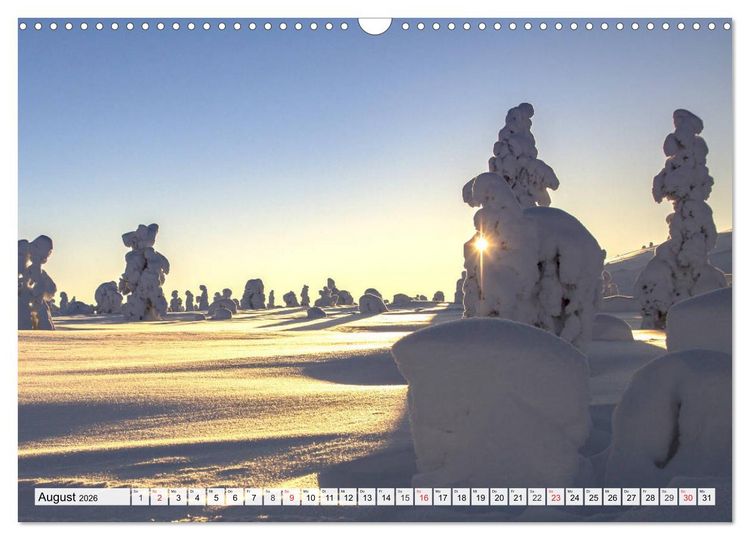 Produktbild: Eiszeit. Winter und Frost in der Natur (Wandkalender 2026 DIN A3 quer), CALVENDO Monatskalender