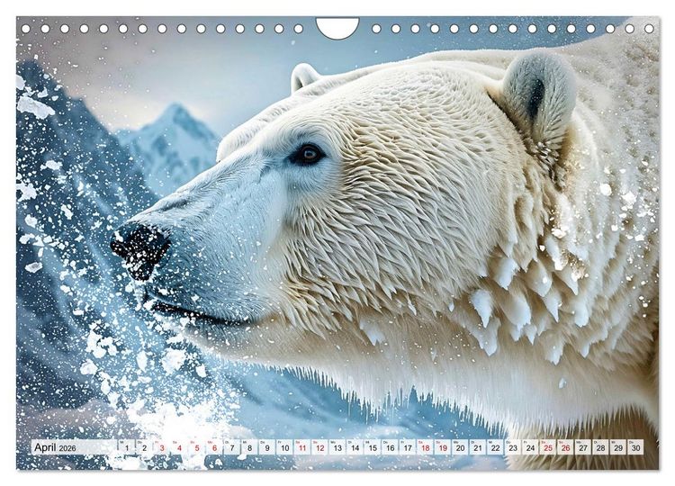 Produktbild: Im magischen Land der Eisb&auml;ren (Wandkalender 2026 DIN A4 quer), CALVENDO Monatskalender