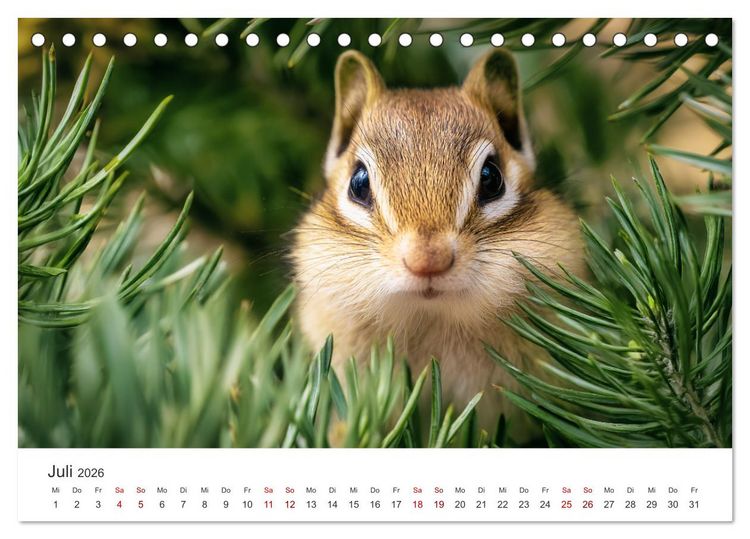 Produktbild: Backen voll - Ein Jahr mit Streifenh&ouml;rnchen (Tischkalender 2026 DIN A5 quer), CALVENDO Monatskalender
