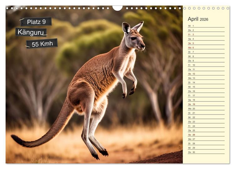 Produktbild: Wer rennt am schnellsten? (Wandkalender 2026 DIN A3 quer), CALVENDO Monatskalender