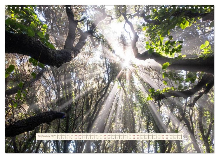 Produktbild: Magical Tenerife (Wall Calendar 2026 DIN A3 landscape), CALVENDO 12 Month Wall Calendar