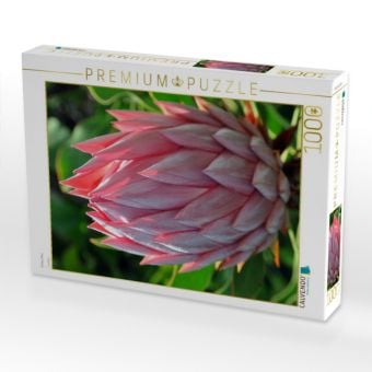 Produktbild: CALVENDO Puzzle Protea, Maui | 1000 Teile Lege-Gr&ouml;&szlig;e 64x48cm Foto-Puzzle f&uuml;r gl&uuml;ckliche Stunden