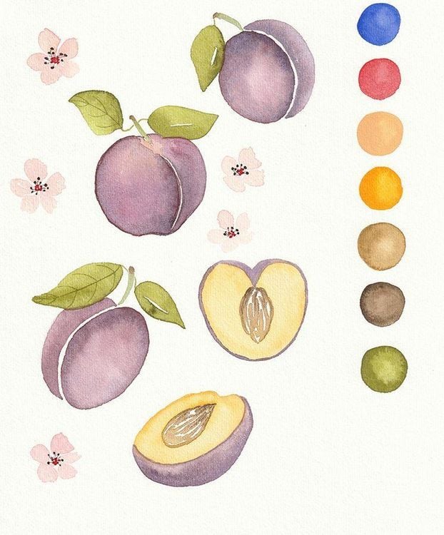 Produktbild: Sommerliche Fr&uuml;chte