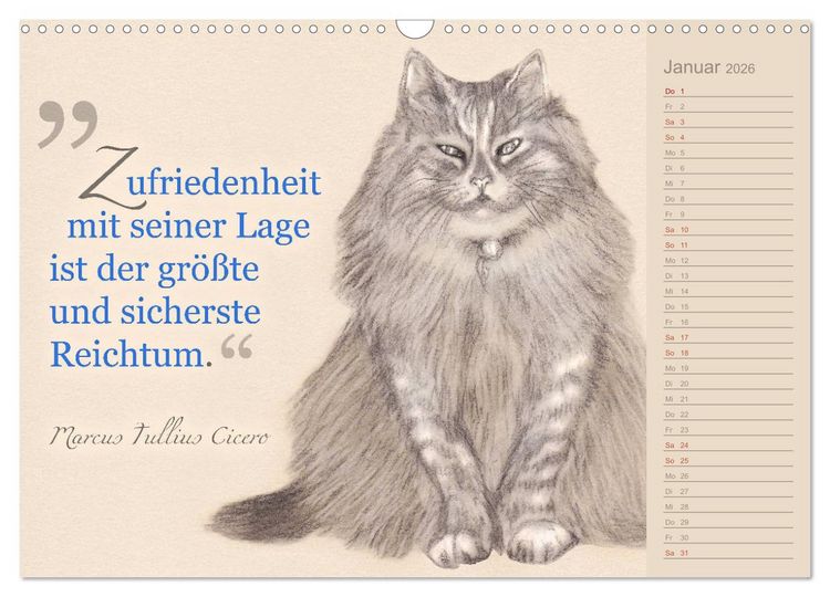 Produktbild: Von Katzen lernen (Wandkalender 2026 DIN A3 quer), CALVENDO Monatskalender
