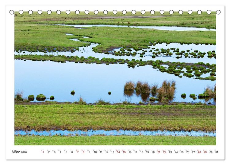 Produktbild: Buntes und bl&uuml;hendes Borkum (Tischkalender 2026 DIN A5 quer), CALVENDO Monatskalender