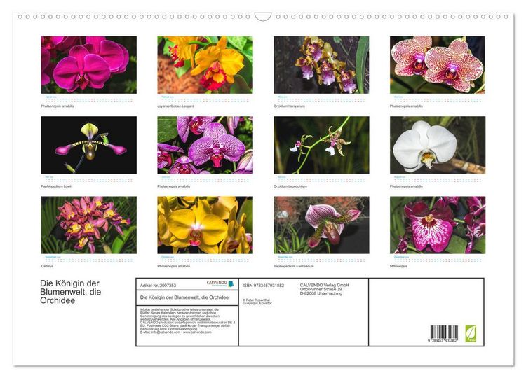Produktbild: Die K&ouml;nigin der Blumenwelt, die Orchidee (Wandkalender 2026 DIN A2 quer), CALVENDO Monatskalender