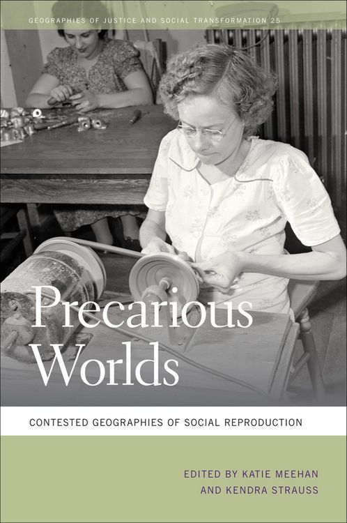 Produktbild: Precarious Worlds