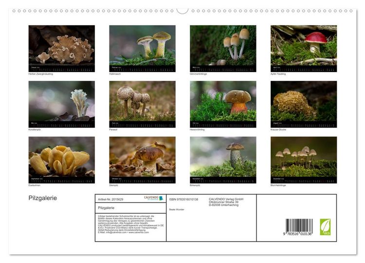 Produktbild: Pilzgalerie (hochwertiger Premium Wandkalender 2026 DIN A2 quer), Kunstdruck in Hochglanz