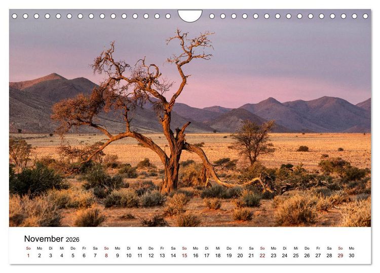 Produktbild: B&auml;ume in Namibias Landschaften (Wandkalender 2026 DIN A4 quer), CALVENDO Monatskalender