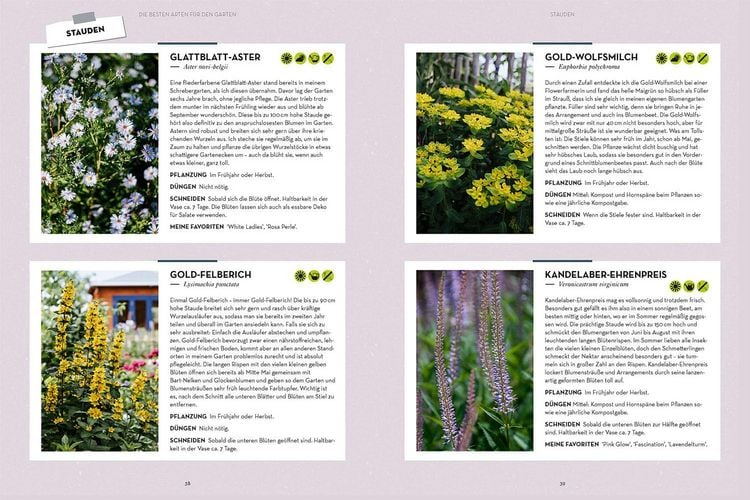 Produktbild: Vom Garten in die Vase