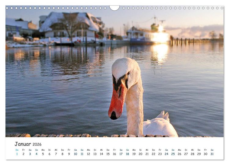 Produktbild: S&uuml;dost R&uuml;gen 2026 (Wandkalender 2026 DIN A3 quer), CALVENDO Monatskalender