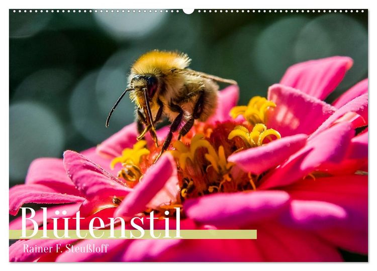 Produktbild: Bl&uuml;tenstil (Wandkalender 2026 DIN A2 quer), CALVENDO Monatskalender