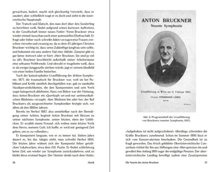 Produktbild: Die Unvollendeten
