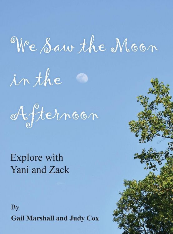 Produktbild: We Saw the Moon in the Afternoon