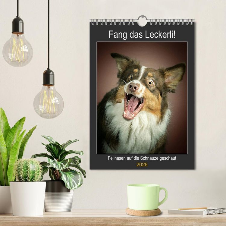 Produktbild: Fang das Leckerli (Wandkalender 2026 DIN A4 hoch), CALVENDO Monatskalender