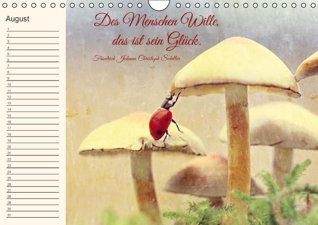 Produktbild: Spruchreifer Geburtstagskalender (Wandkalender immerw&auml;hrend DIN A4 quer)
