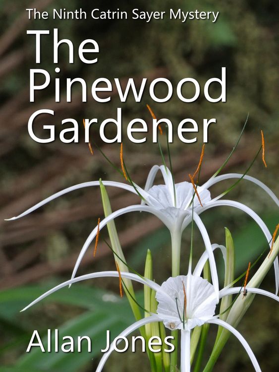 Produktbild: The Pinewood Gardener (The Catrin Sayer Novels, #9)