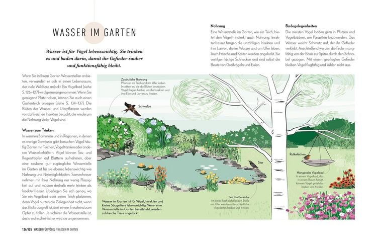 Produktbild: So locke ich V&ouml;gel in meinen Garten