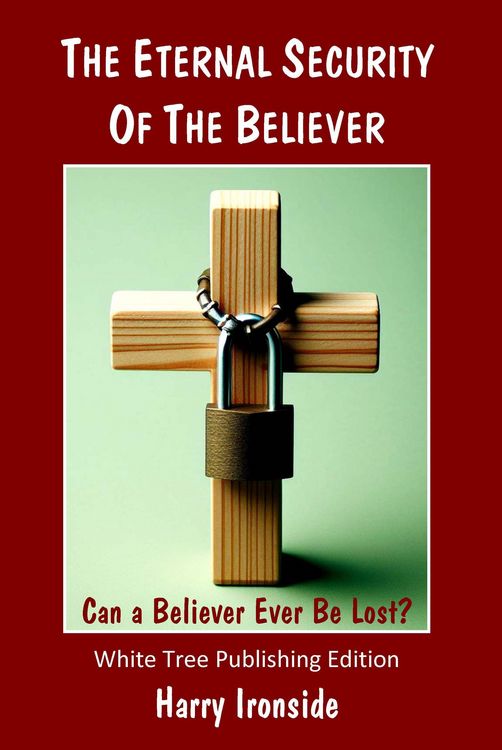 Produktbild: The Eternal Security of the Believer: Can a Believer Ever Be Lost?