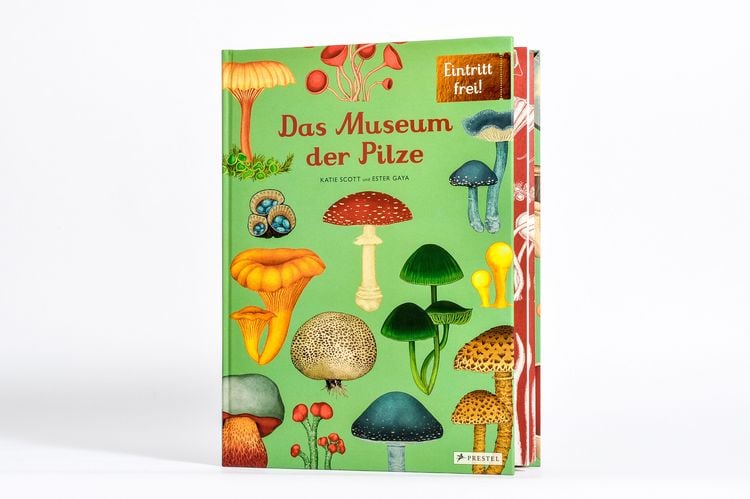 Produktbild: Das Museum der Pilze