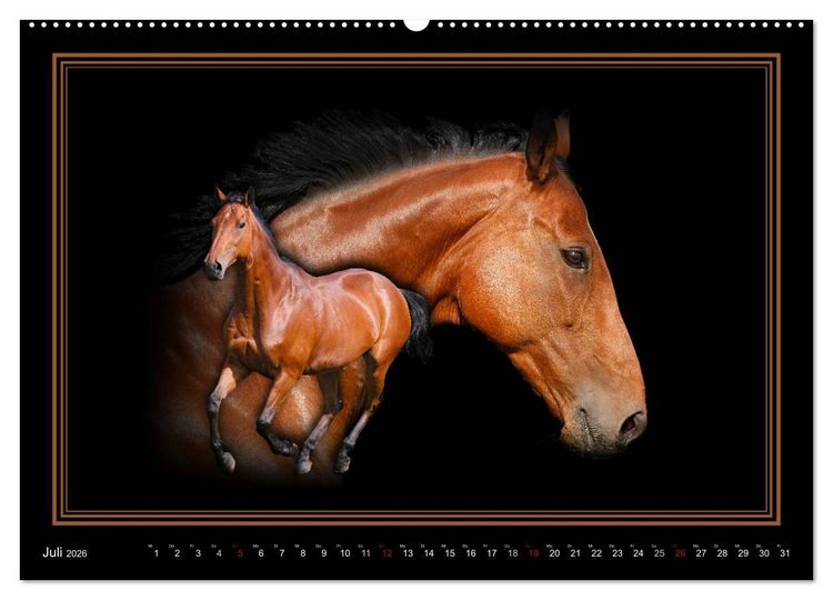 Produktbild: Traumpferde-ART-Collection (hochwertiger Premium Wandkalender 2026 DIN A2 quer), Kunstdruck in Hochglanz