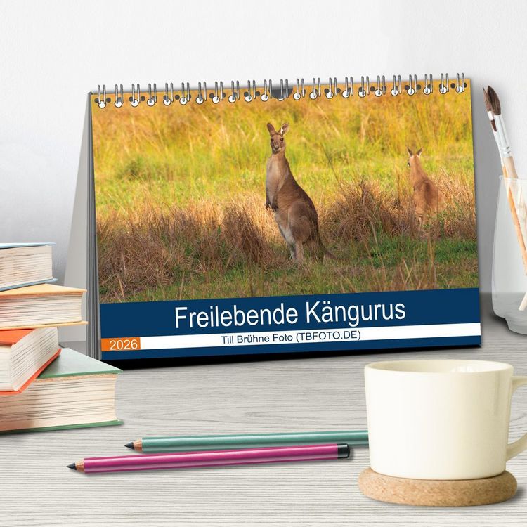 Produktbild: Freilebende K&auml;ngurus (Tischkalender 2026 DIN A5 quer), CALVENDO Monatskalender