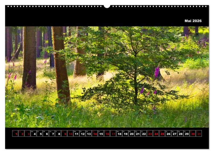 Produktbild: Europa im Breitbild (hochwertiger Premium Wandkalender 2026 DIN A2 quer), Kunstdruck in Hochglanz