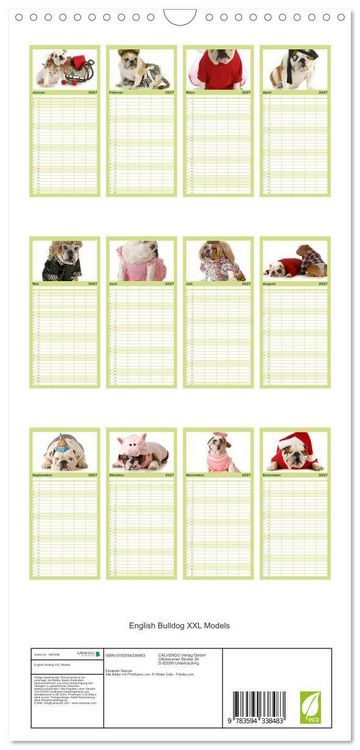 Produktbild: Familienplaner 2027 - English Bulldog XXL Models mit 5 Spalten (Wandkalender, 21 x 45 cm) CALVENDO