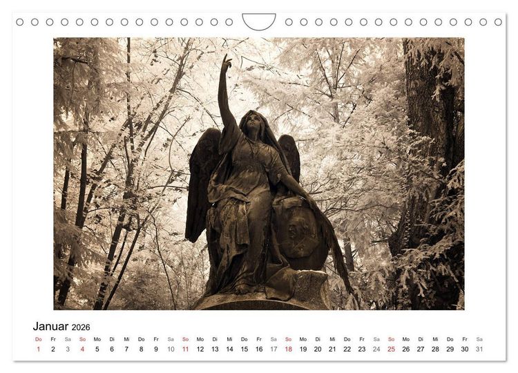 Produktbild: your guardian angel - Dein Schutzengel f&uuml;r jeden Tag (Wandkalender 2026 DIN A4 quer), CALVENDO Monatskalender