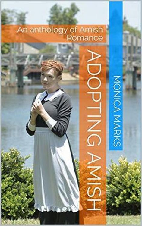Produktbild: Adopting Amish