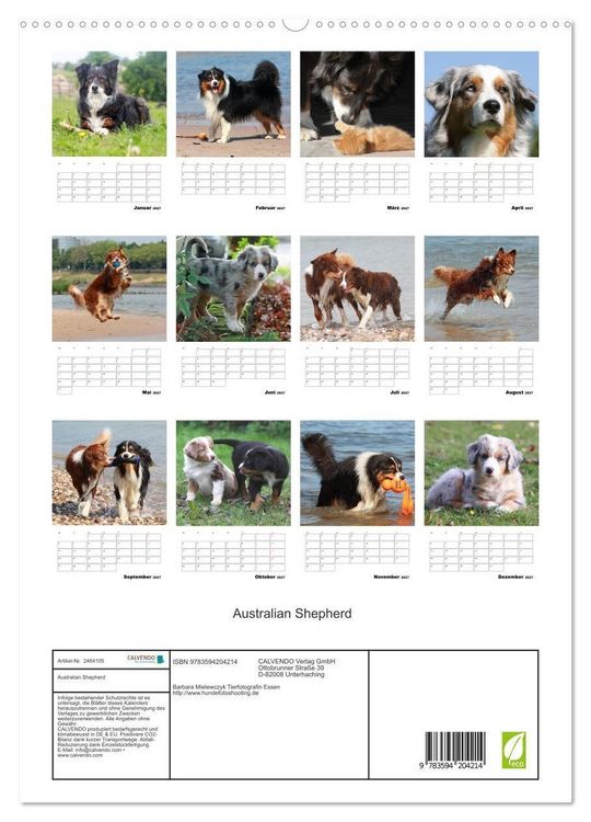 Produktbild: Australian Shepherd (hochwertiger Premium Wandkalender 2027 DIN A2 hoch), Kunstdruck in Hochglanz