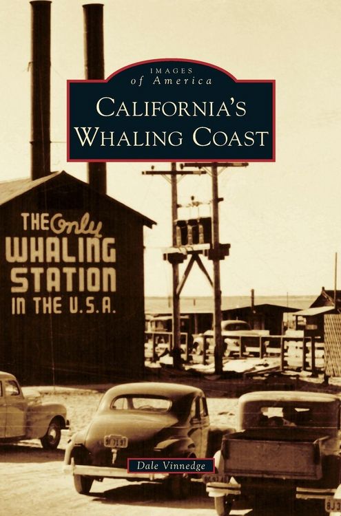 Produktbild: California's Whaling Coast