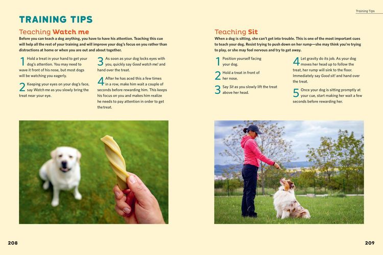 Produktbild: The Dog Behavior Answer Book, 2nd Edition