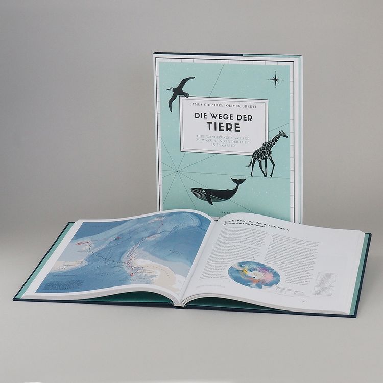 Produktbild: Die Wege der Tiere