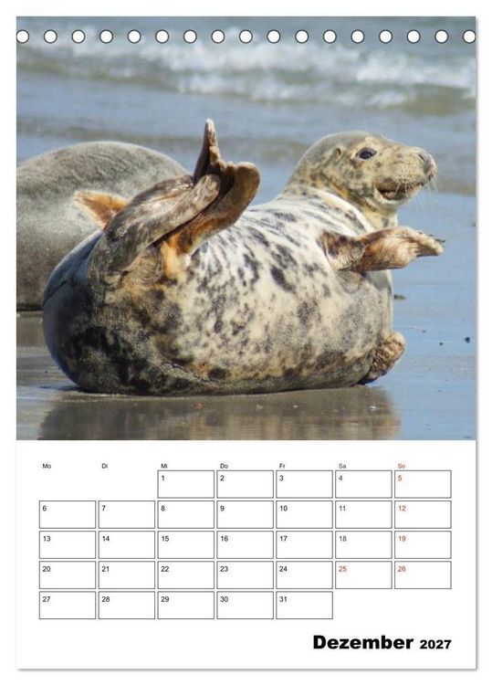 Produktbild: Liebenswerte Robben (Tischkalender 2027 DIN A5 hoch), CALVENDO Monatskalender
