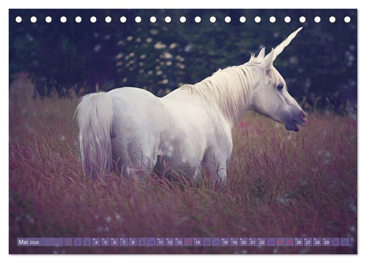 Produktbild: Einhorn Love - Fantasiewelt (Tischkalender 2026 DIN A5 quer), CALVENDO Monatskalender