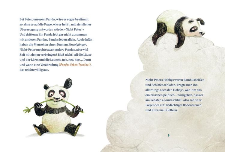 Produktbild: Panda-Pand