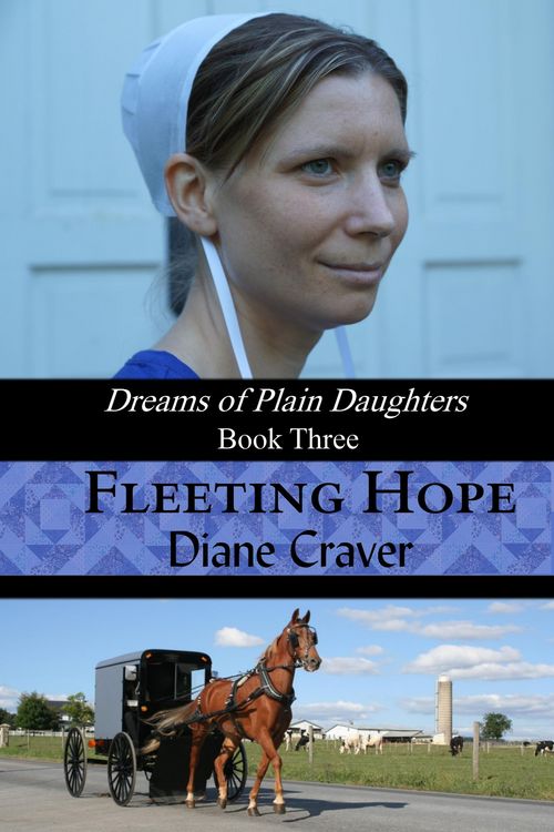 Produktbild: Fleeting Hope (Dreams of Plain Daughters, #3)
