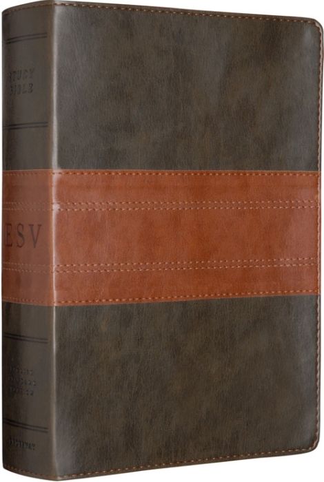 Produktbild: Study Bible-ESV-Trail Design